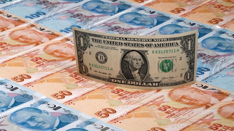 الدولار والليرة التركية