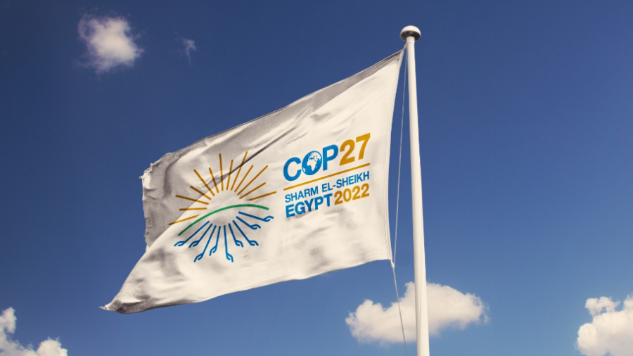 COP27