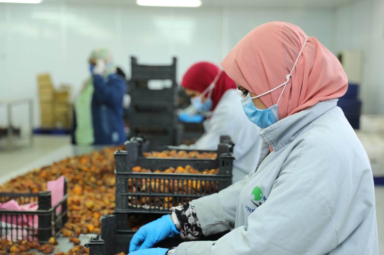 WhatsApp_Image_2020-09-19_at_2_07_19_PM