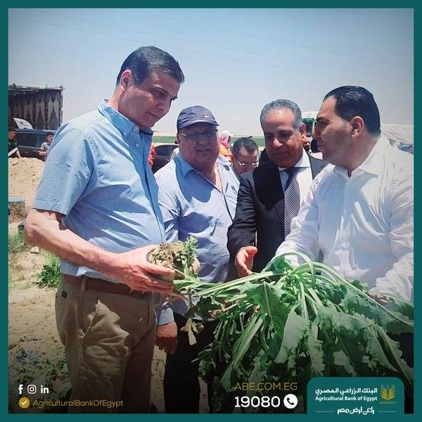 WhatsApp_Image_2022-06-01_at_3_24_14_PM