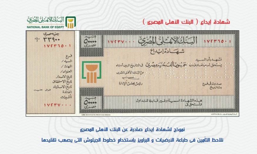 WhatsApp_Image_2023-11-02_at_3_05_42_PM_(1)