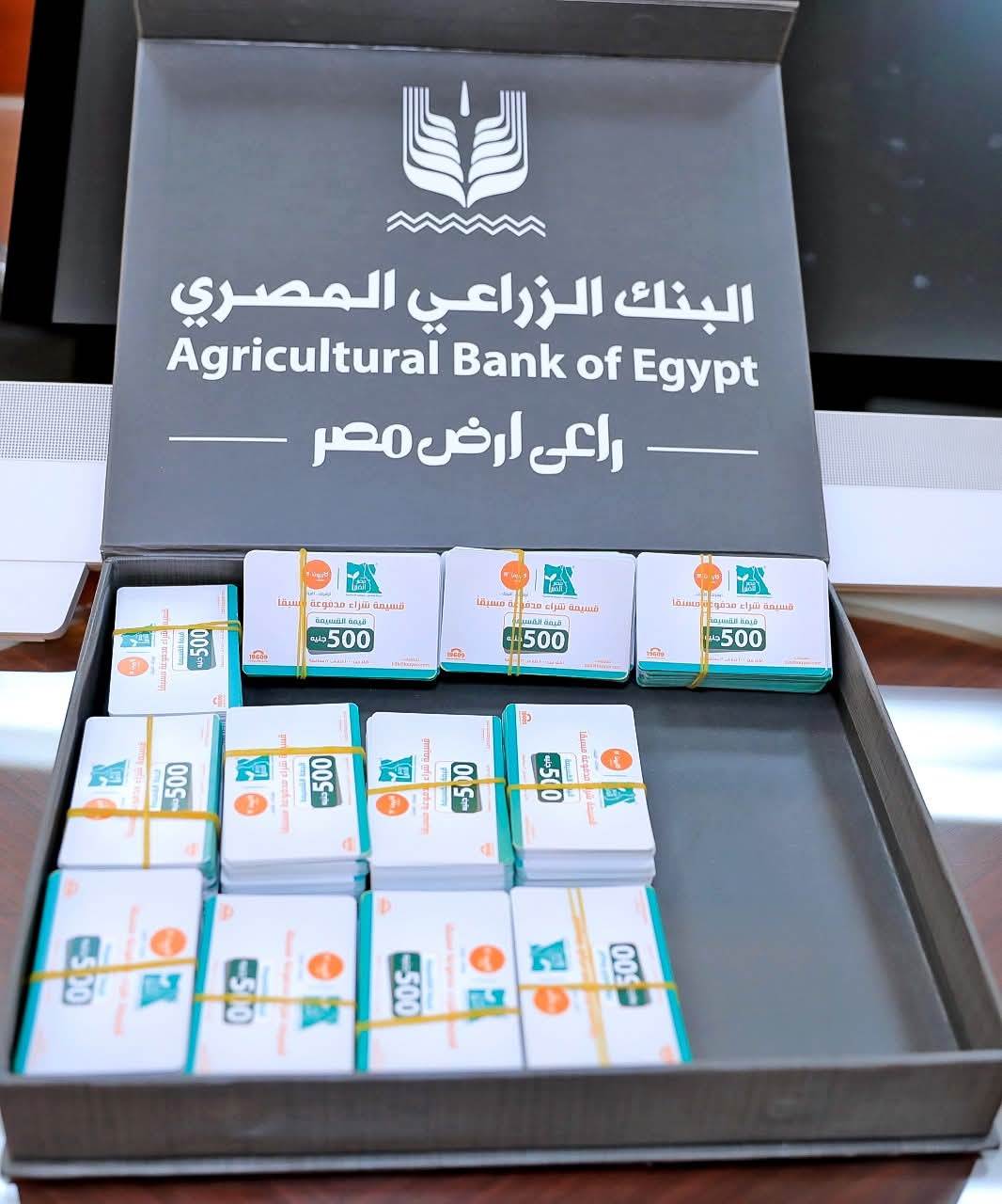 WhatsApp_Image_2025-03-01_at_1_35_22_PM