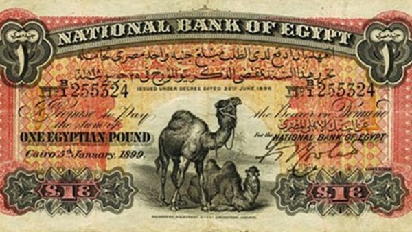الجنيه المصري أبوجملين
