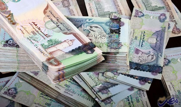 الدرهم الإماراتي