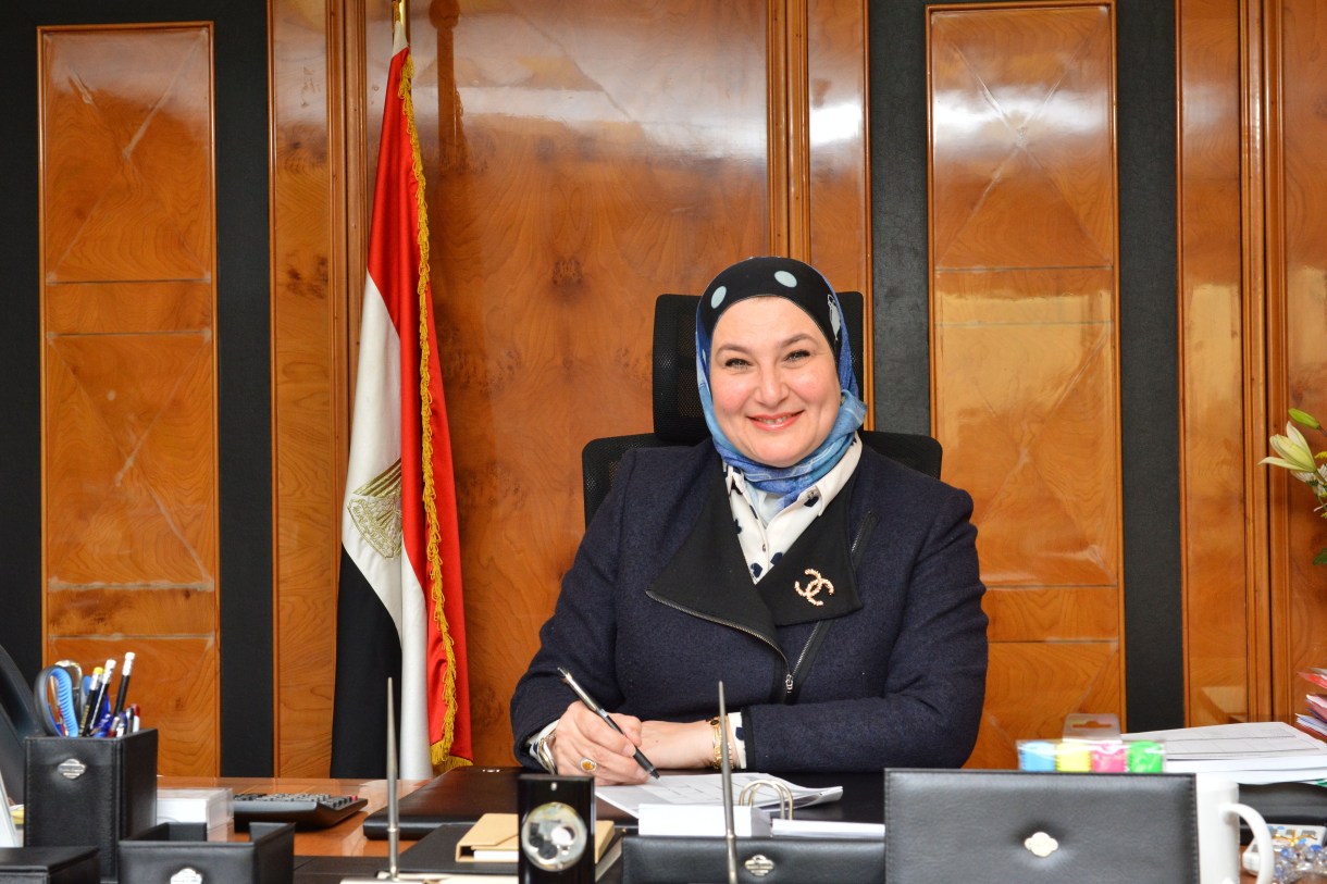 ميرفت سلطان، رئيس مجلس إدارة البنك