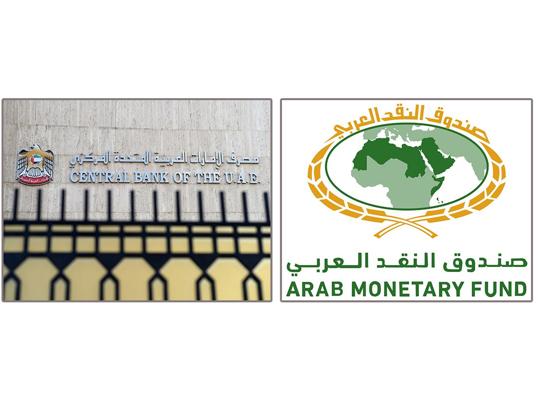 النقد العربي - المركزي الإماراتي