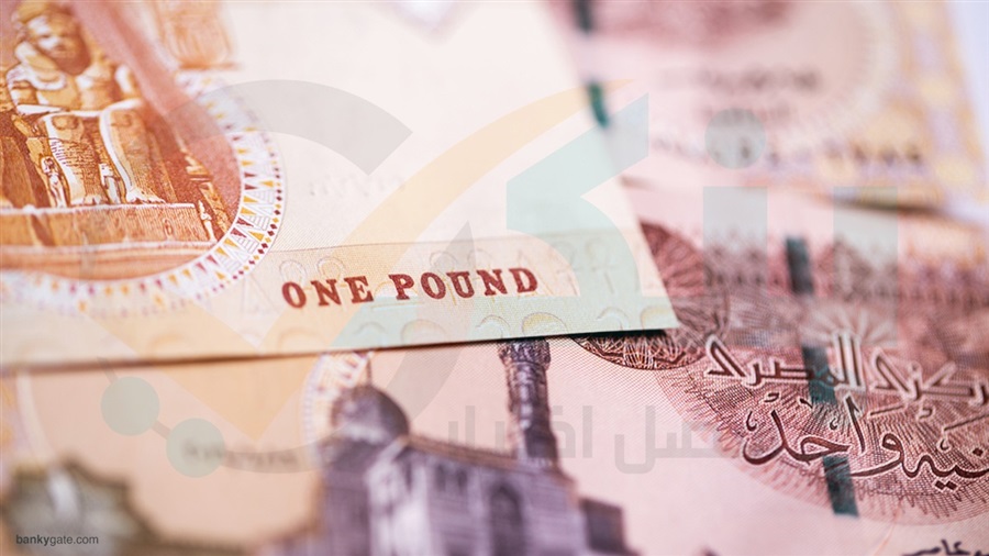 الدولار يشهد انخفاضات متتالية أمام الجنيه المصري
