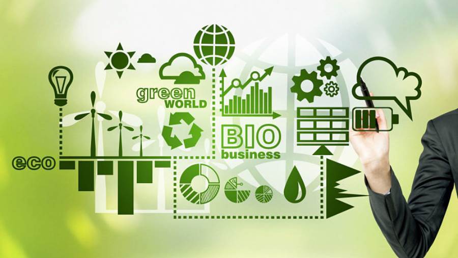 السندات الخضراء والتنمية المستدامة