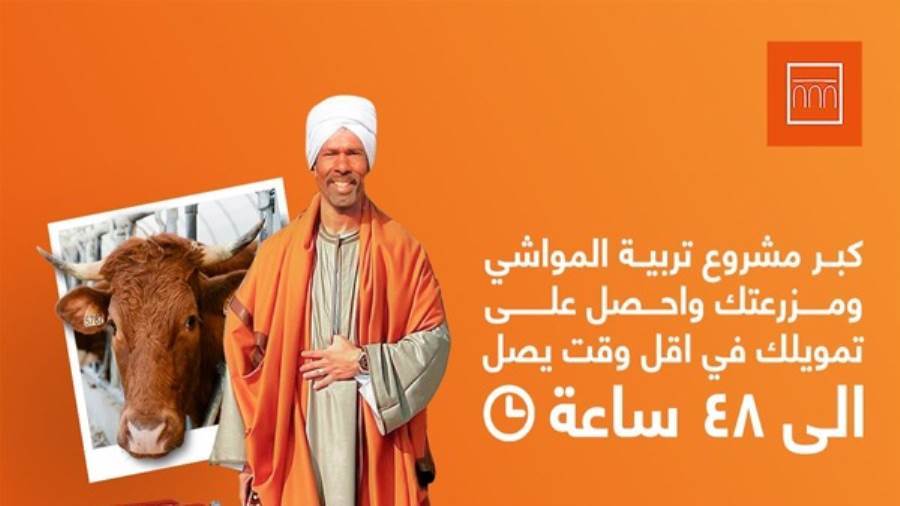 قرضالتمويل الزراعي من بنك الإسكندرية