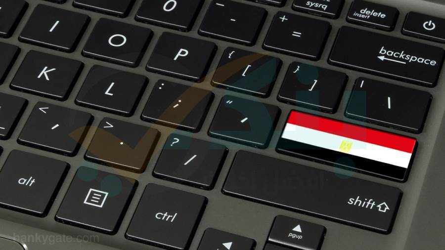 إتاحة خدمات مصلحة الضرائب العقارية إلكترونيا للمواطنين