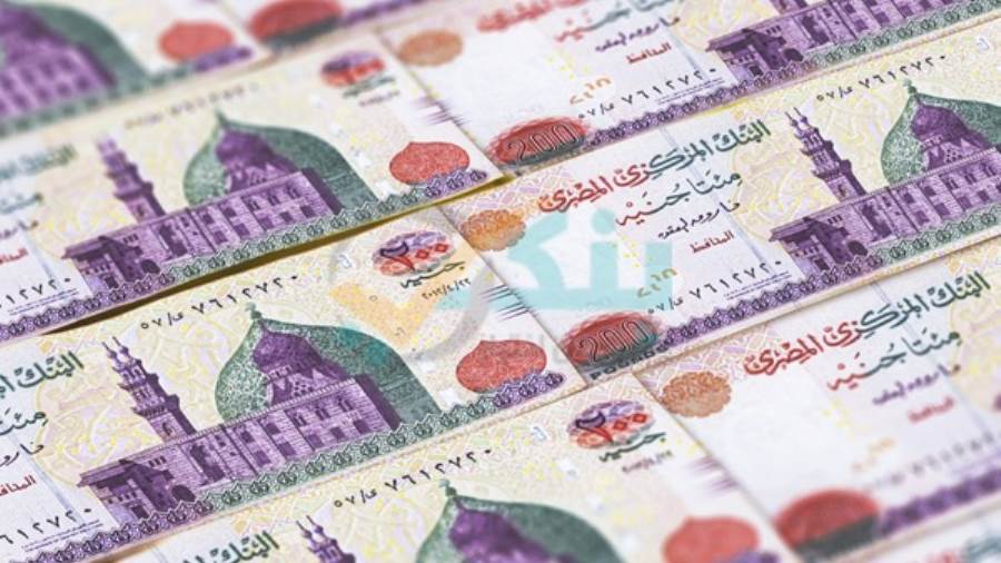 جمالي قروض البنوك ترتفع إلي 2.45 تريليون جنيه بنهاية 2020