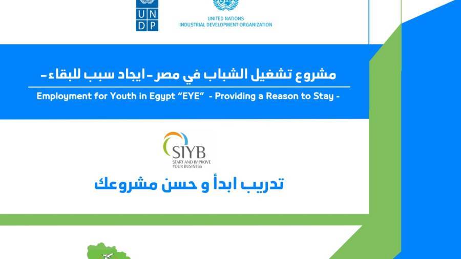مشروع تشغيل الشباب في مصر