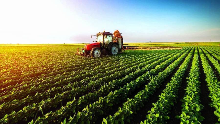 قرض المحاصيل الزراعية من البنك الزراعي المصري