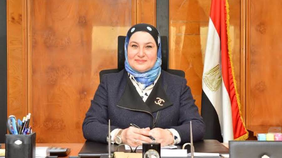 ميرفت سلطان رئيس مجلس إدارة البنك المصري لتنمية الصادرات