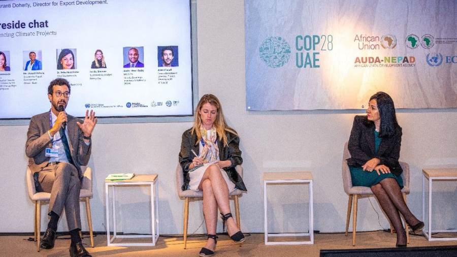 داليا عبد القادر رئيس قطاع التمويل المستدام بالبنك التجاري الدولي