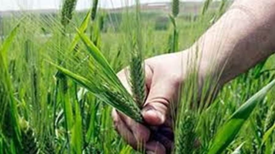عروض البنوك بمناسبة عيد الفلاح
