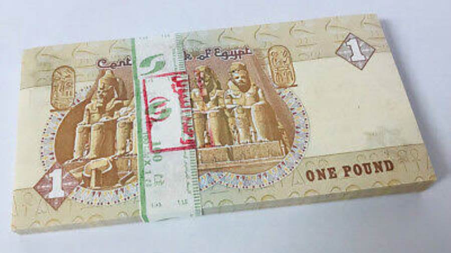 الجنيه المصري