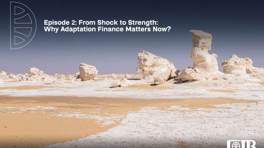 البنك التجاري الدولي مصر CIB  يسلّط الضوء على تمويل التكيف ودوره في تعزيز مرونة القطاع المالي