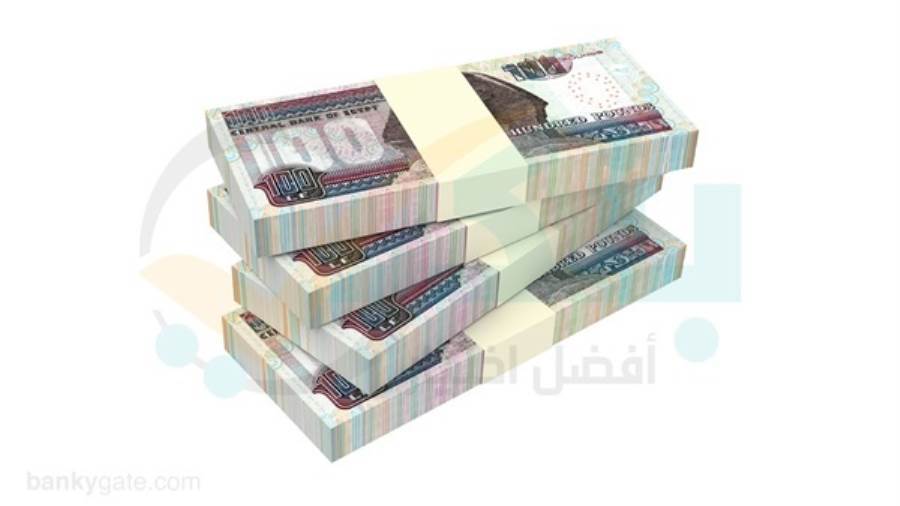 الأفراد يستحوذون على 20.9% من إجمالي قروض البنوك المدرجة بالبورصة بالنصف الأول من 2026
