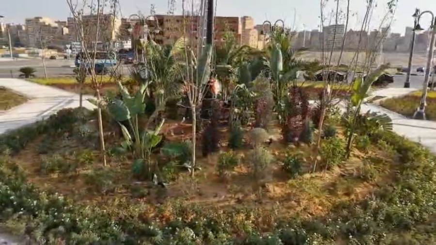 محافظ القاهرة : البنك الأهلي المصري يساهم بـ10 مليون جنيه لدعم التشجير وزيادة المساحات الخضراء بالقاهرة