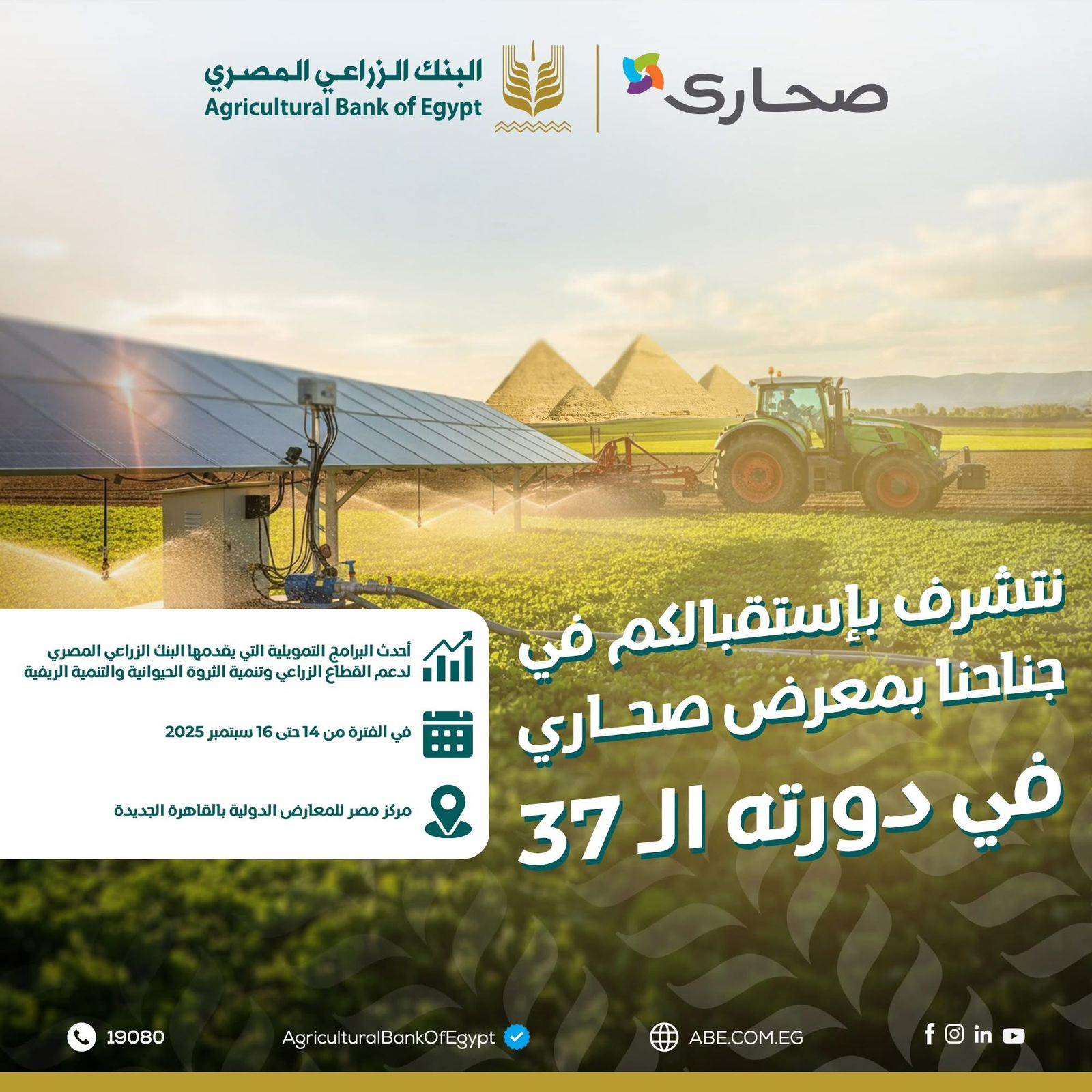 26b95ac0-0d46-451d-a721-5a8ebf9f6121_202
