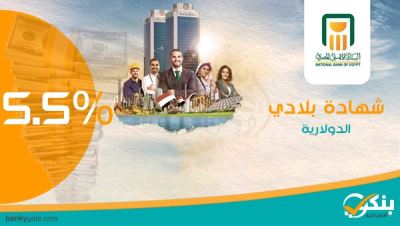 فائدة تصل لـ 5.5%..تفاصيل شهادة بلادي بالدولار من البنك الأهلي المصري