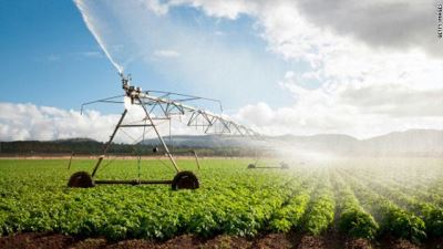 البنك الزراعي يدرس تأسيس شركة قابضة في الاستثمارات الزراعية