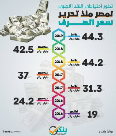 إنفوجرافيك| تطور احتياطي النقد الأجنبي لمصر منذ تحرير سعر الصرف
