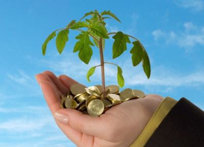 المالية: حوافز ضريبية للمشروعات المتوسطة والصغيرة في القانون الجديد