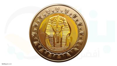 هل تواجه مصر أزمة في «الفكة»؟ ..المالية توضح 