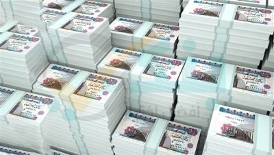 ضمن مبادرة الـ5%.. إجمالي تمويلات مشروع البتلو يسجل 1.7 مليار جنيه