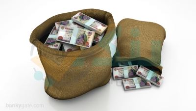 أطول 10 فترات سداد لـ«قروض الموظفين» بضمان تحويل الراتب