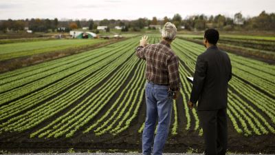 للأفراد والشركات.. شروط تمويل الأنشطة والمشروعات الزراعية من «البنك الزراعي»