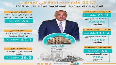 201.7 مليار جنيه زيادة في تمويلات المشروعات الصغيرة والمتوسطة ومتناهية الصغر منذ 2015 «إنفوجرافيك»