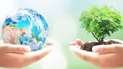 نشطاء يدعون البنوك العالمية لوقف تمويل المشروعات الضارة بالبيئة والحيوان