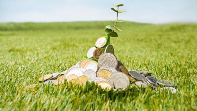 الصندوق الأخضر للتمويل يضخ 40 مليون دولار لتعزيز التنمية المستدامة بمصر