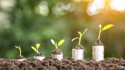 الوديعة الذهبية من بنك بلوم مصر بعائد يصل إلى 7.75%