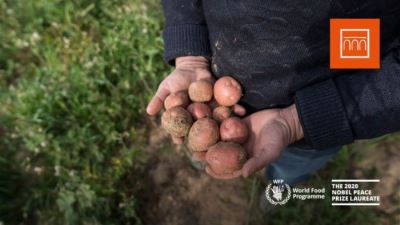 بنك الإسكندرية يوقع مذكرة تفاهم مع برنامج الغذاء العالمي لدعم صغار المزارعين