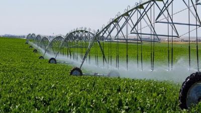 الزراعة: تيسيرات مالية من البنوك لمنظومة الري الحديث بالتنسيق مع المركزي