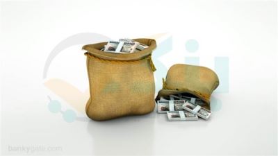 القطاع العائلي يستحوذ على 67.9% من إجمالي ودائع البنوك بنهاية مارس