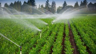 الأهلي المصري والزراعي يشاركان في تأهيل المساقي والتحول إلى الري الحديث