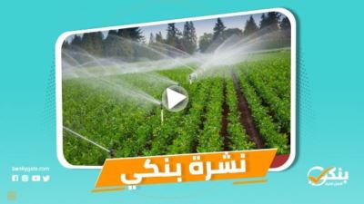 نشرة بنكي: الأهلي المصري والزراعي يشاركان في تأهيل المساقي والتحول إلى الري الحديث