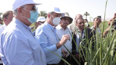 الزراعي المصري يطلق مبادرة لتمويل تكاليف إنشاء حقول استرشادية للري الحديث بالصعيد