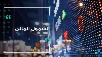 الشمول المالي وأهميته وكيفية الاستفادة من عروض البنوك