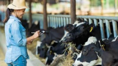 قرض مشروعات الثروة الحيوانية من البنك الزراعي بفائدة 5%