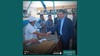 محافظ كفر الشيخ : يشيد بالاقبال على توريد القمح بالشون والصوامع والهناجر