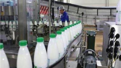 تفاصيل مشروع تمويل إنشاء وتطوير مراكز تجميع الألبان من البنك الزراعي المصري