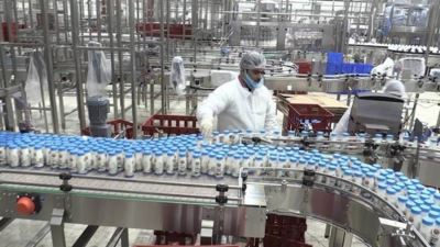 الزراعة: 388 مليون جنيه لتمويل تطوير مراكز تجميع الألبان ضمن مبادرة المركزي بفائدة 5%