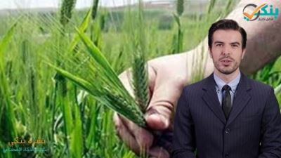 البنوك تقدم باقة من المنتجات المجانية بمناسبة "عيد الفلاح" بداية من الخميس المقبل