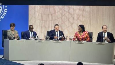 محافظ البنك المركزى  يطالب بضرورة توافر الاستجابات المالية للدول النامية